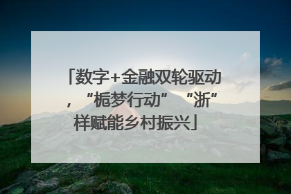 数字+金融双轮驱动，“栀梦行动”“浙”样赋能乡村振兴