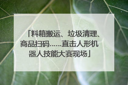 料箱搬运、垃圾清理、商品扫码……直击人形机器人技能大赛现场