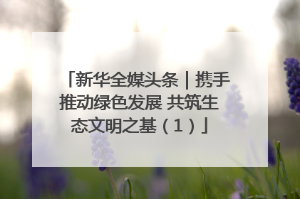 新华全媒头条｜携手推动绿色发展 共筑生态文明之基（1）