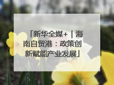 新华全媒+｜海南自贸港：政策创新赋能产业发展