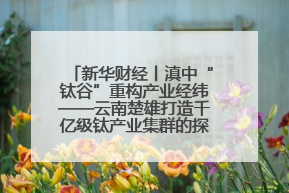 新华财经丨滇中“钛谷”重构产业经纬——云南楚雄打造千亿级钛产业集群的探索与实践