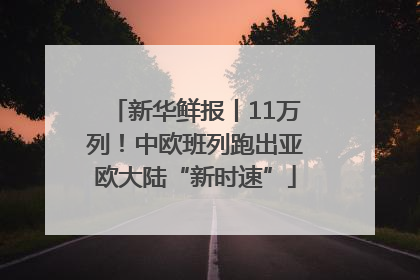 新华鲜报丨11万列！中欧班列跑出亚欧大陆“新时速”