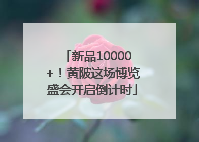 新品10000+！黄陂这场博览盛会开启倒计时