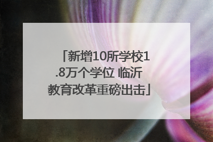 新增10所学校1.8万个学位 临沂教育改革重磅出击