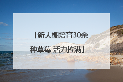 新大棚培育30余种草莓 活力拉满