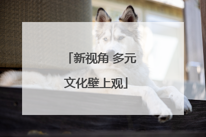 新视角 多元文化壁上观