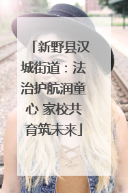 新野县汉城街道：法治护航润童心 家校共育筑未来