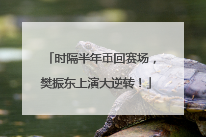 时隔半年重回赛场，樊振东上演大逆转！