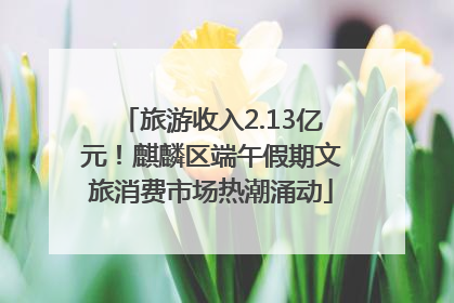 旅游收入2.13亿元！麒麟区端午假期文旅消费市场热潮涌动