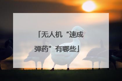无人机“速成弹药”有哪些