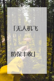 无人机飞防保丰收