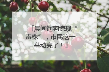 晨间遛狗惊现“毒株”，市民这一举动亮了！
