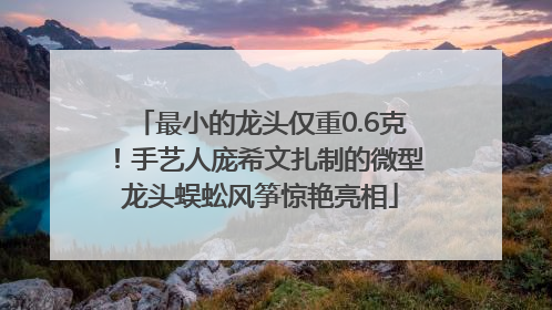 最小的龙头仅重0.6克！手艺人庞希文扎制的微型龙头蜈蚣风筝惊艳亮相