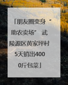 朋友圈变身“助农卖场” 武陵源区黄家坪村5天销出4000斤包菜