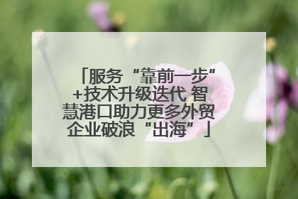 服务“靠前一步”+技术升级迭代 智慧港口助力更多外贸企业破浪“出海”