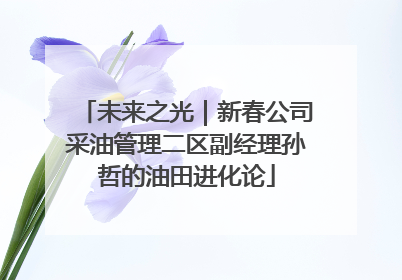 未来之光｜新春公司采油管理二区副经理孙哲的油田进化论