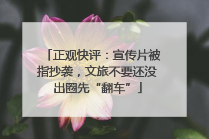 正观快评：宣传片被指抄袭，文旅不要还没出圈先“翻车”
