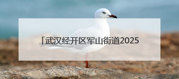 武汉经开区军山街道2025年“安全生产月”活动启动