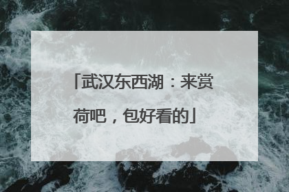 武汉东西湖：来赏荷吧，包好看的