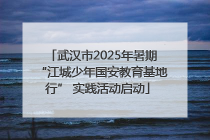 武汉市2025年暑期“江城少年国安教育基地行” 实践活动启动