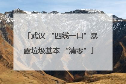 武汉 “四线一口”暴露垃圾基本 “清零”