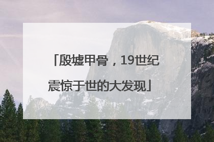 殷墟甲骨，19世纪震惊于世的大发现