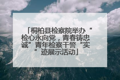 桐柏县检察院举办“检心永向党，青春铸忠诚”青年检察干警“实”迹展示活动