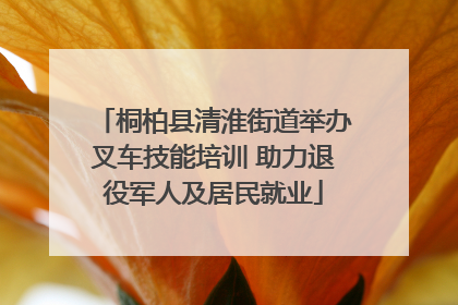 桐柏县清淮街道举办叉车技能培训 助力退役军人及居民就业