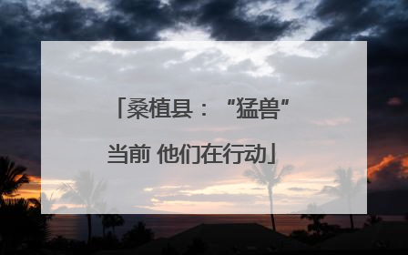 桑植县：“猛兽”当前 他们在行动