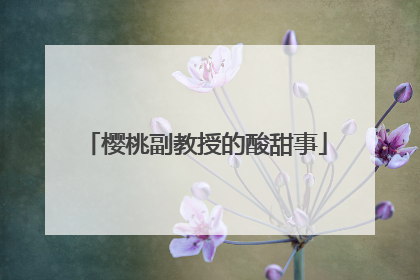 樱桃副教授的酸甜事