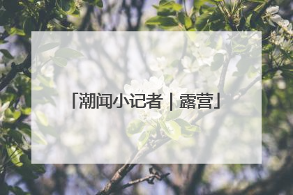 潮闻小记者｜露营