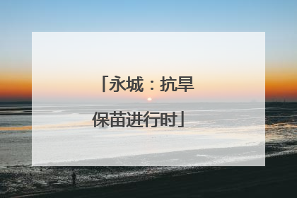 永城：抗旱保苗进行时