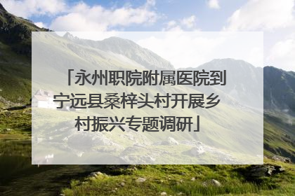 永州职院附属医院到宁远县桑梓头村开展乡村振兴专题调研