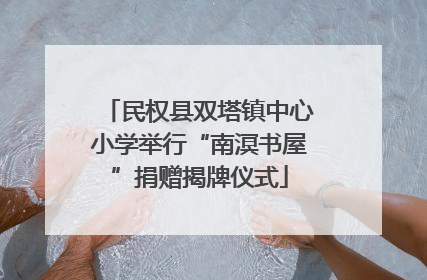 民权县双塔镇中心小学举行“南溟书屋”捐赠揭牌仪式