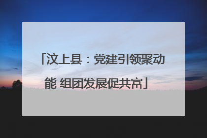 汶上县：党建引领聚动能 组团发展促共富