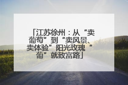 江苏徐州：从“卖葡萄”到“卖风景、卖体验”阳光玫瑰“葡”就致富路