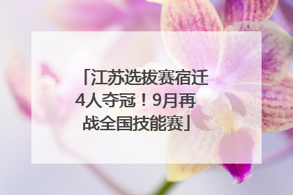 江苏选拔赛宿迁4人夺冠！9月再战全国技能赛