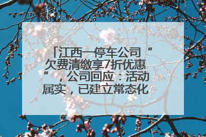 江西一停车公司“欠费清缴享7折优惠”，公司回应：活动属实，已建立常态化诉讼追缴机制
