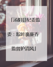 汤阴县纪委监委：粽叶裹廉香 监督护清风