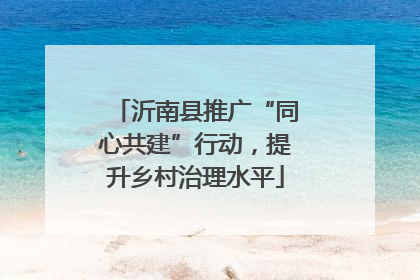 沂南县推广“同心共建”行动，提升乡村治理水平