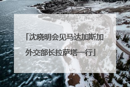 沈晓明会见马达加斯加外交部长拉萨塔一行