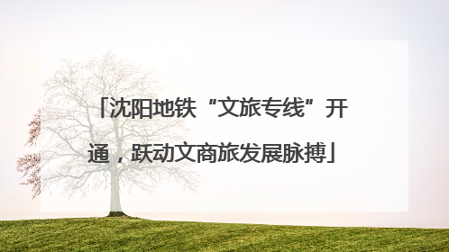 沈阳地铁“文旅专线”开通，跃动文商旅发展脉搏