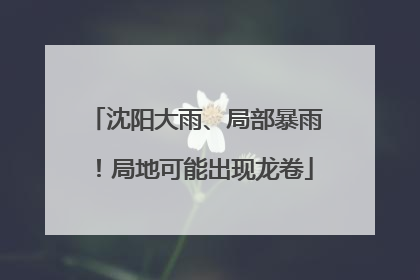 沈阳大雨、局部暴雨！局地可能出现龙卷