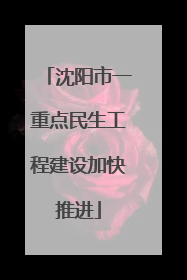 沈阳市一重点民生工程建设加快推进
