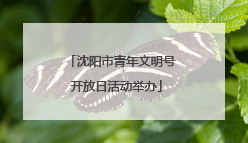 沈阳市青年文明号开放日活动举办
