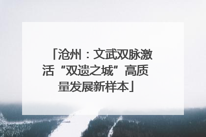 沧州：文武双脉激活“双遗之城”高质量发展新样本