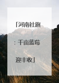 河南社旗：千亩蓝莓迎丰收