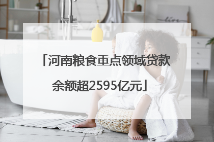 河南粮食重点领域贷款余额超2595亿元