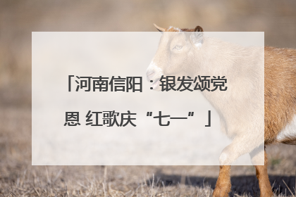 河南信阳：银发颂党恩 红歌庆“七一”