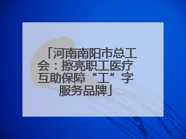 河南南阳市总工会：擦亮职工医疗互助保障“工”字服务品牌
